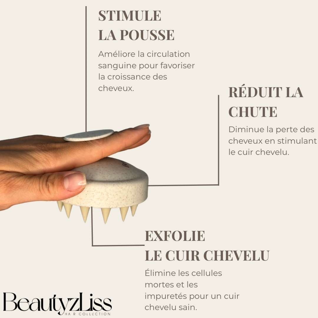 Brosse Scalp