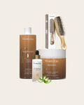 Lot Gamme Color + Brosse