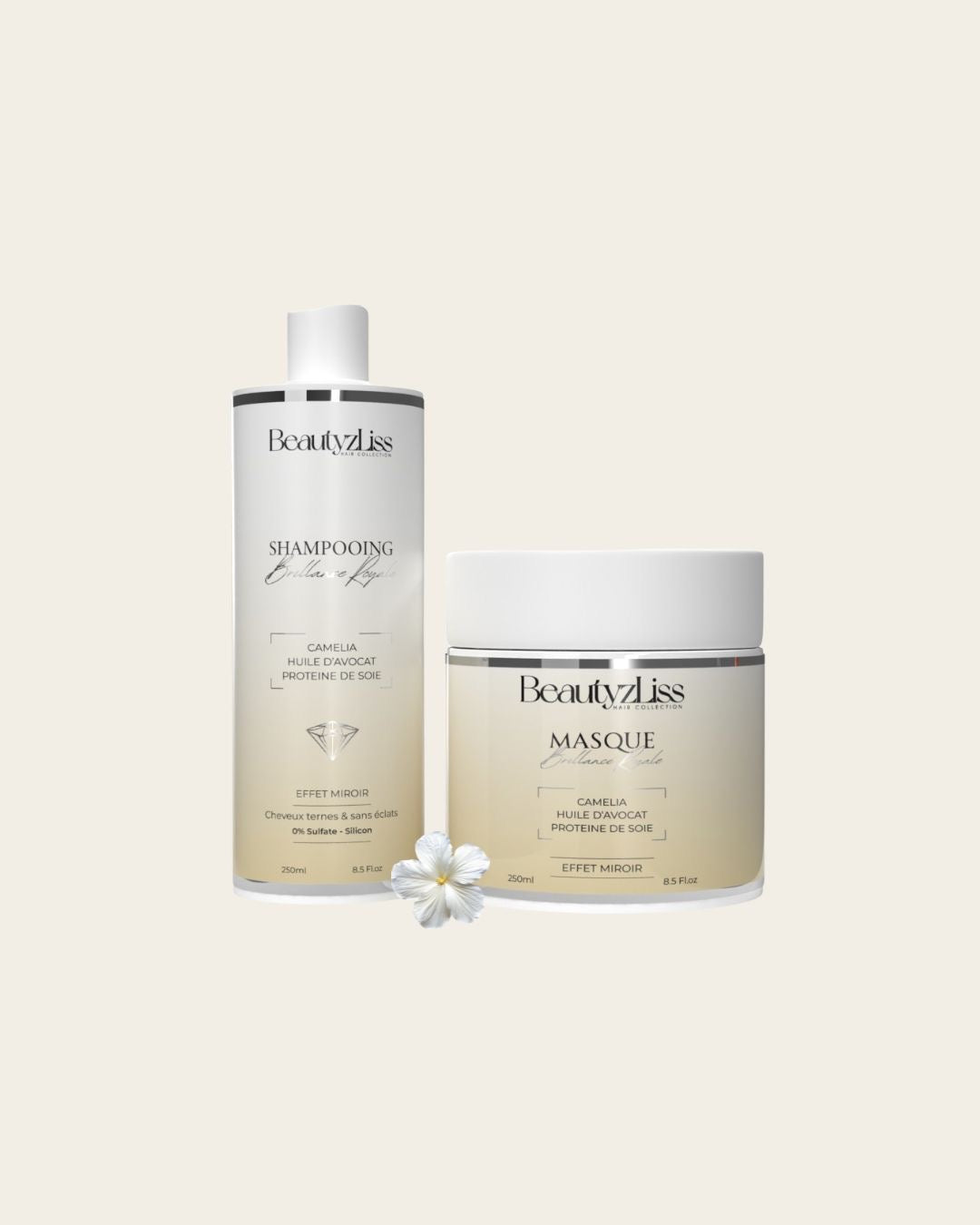 Lot Brillance (Shampoing + Masque)