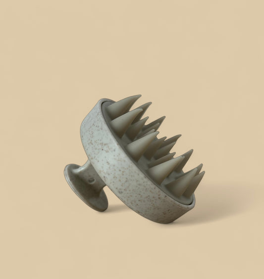Brosse Scalp